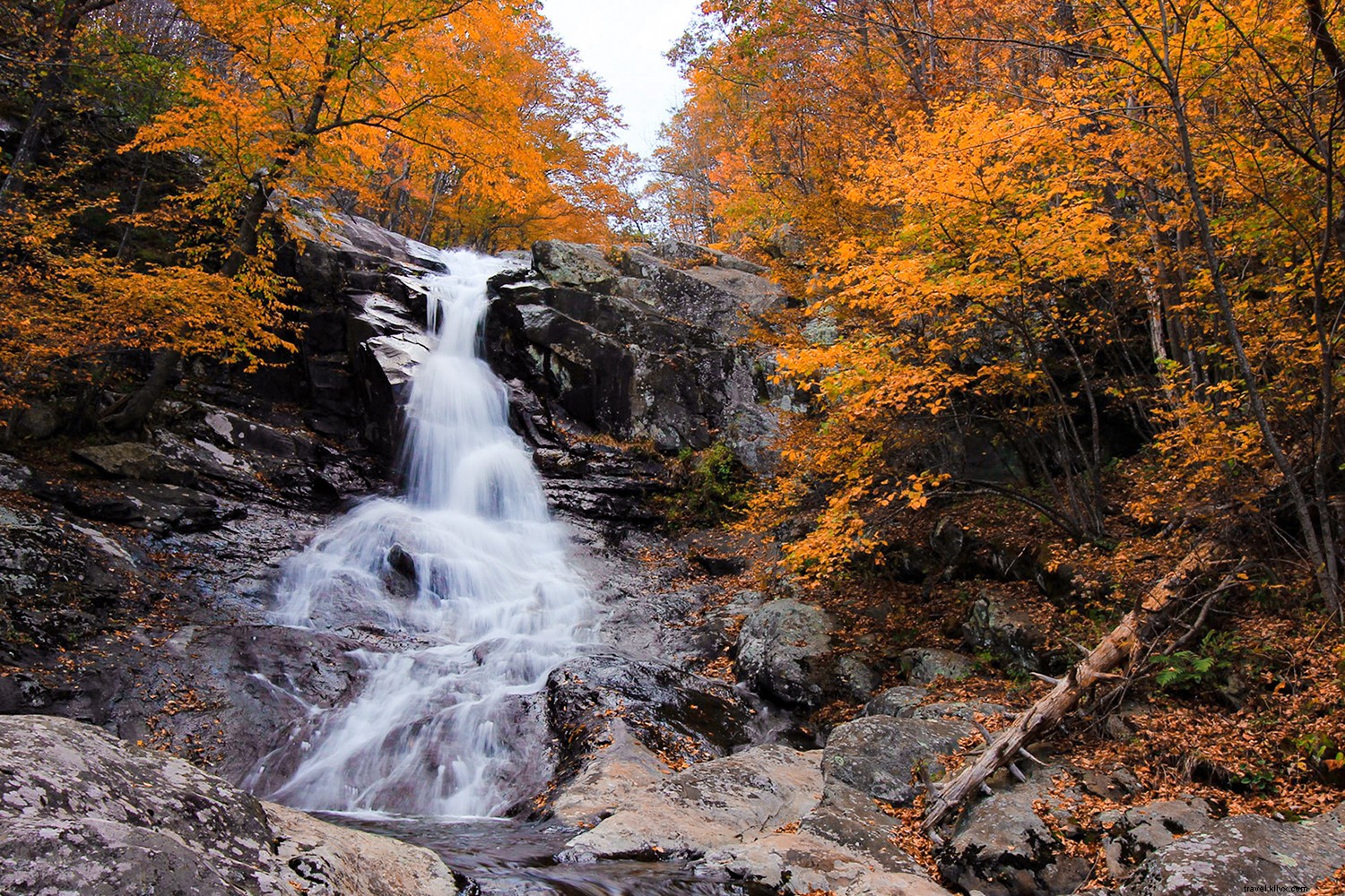 Por que a Virgínia é o lugar para abrir uma trilha neste outono 